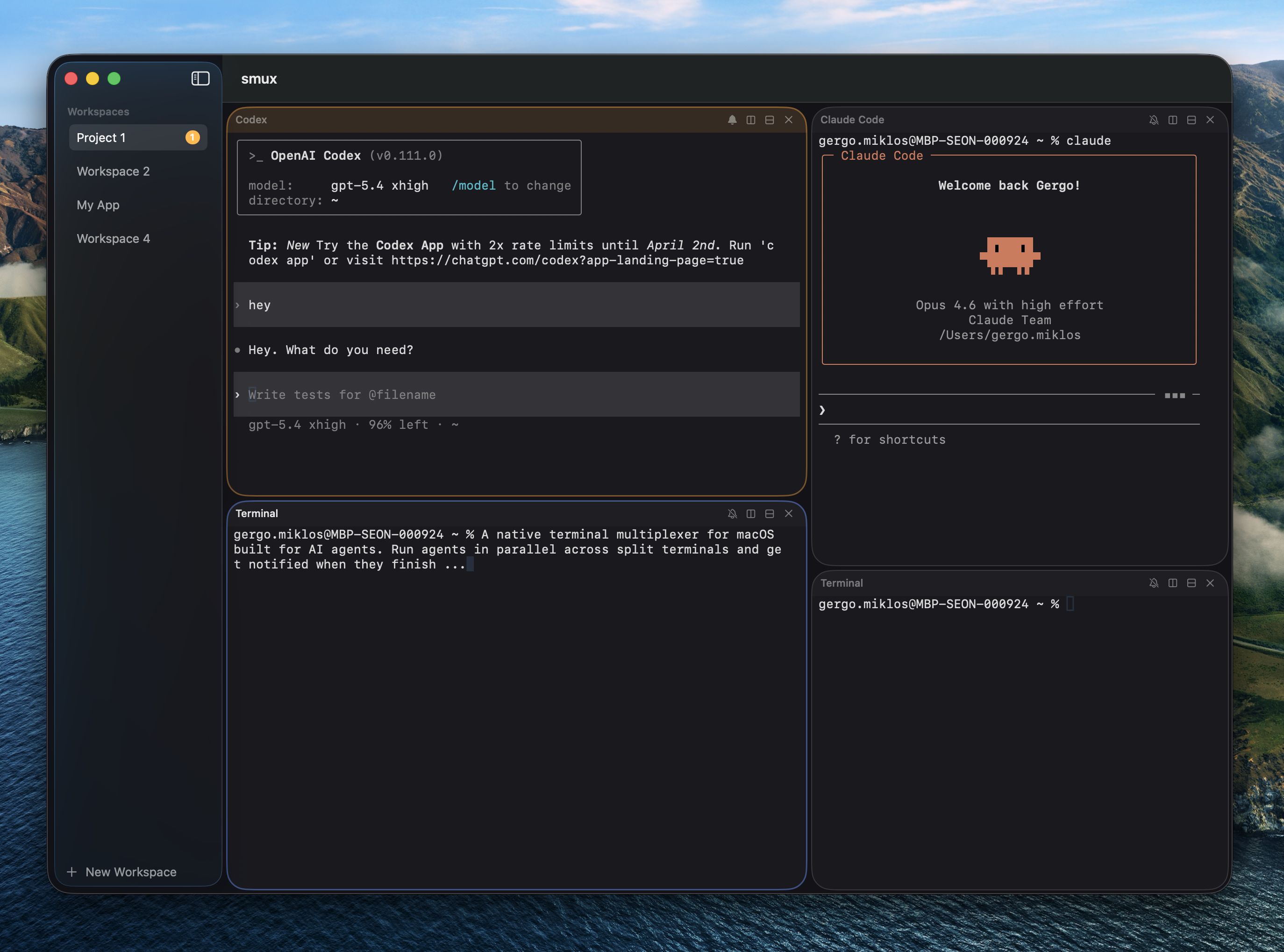 smux — split terminals with workspaces